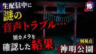 【心霊】生配信中にとんでもないトラブルが。。｜新潟・神明公園【別視点】