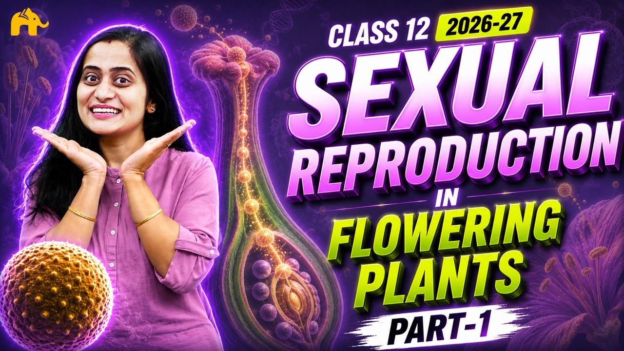 Sexual Reproduction in Flowering plants Class 12 | CBSE NEET