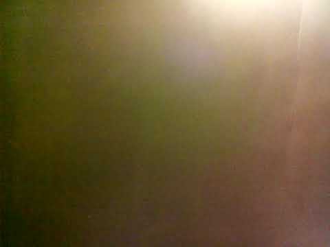 Fai mea tonu o mea lelei