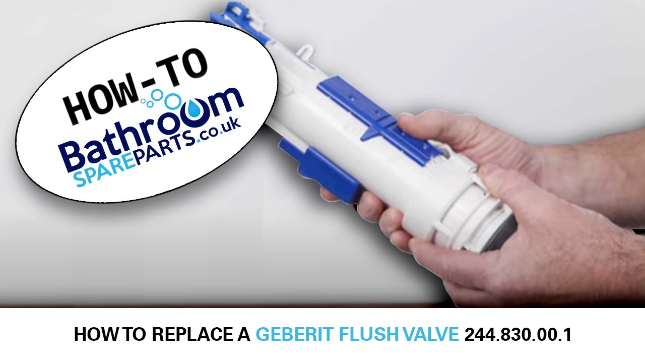 Geberit Flush Valve Replacement