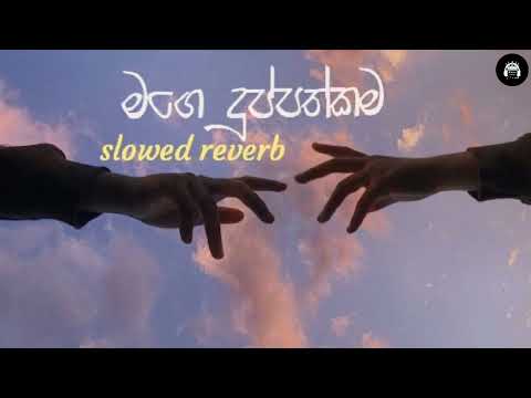 Dan wenas wela slowed reverb/දැන් වෙනස් වෙලා slowed reverb