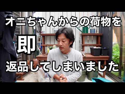 園芸 レンギョウ、ガエナリ、ゴールデンサンゴ