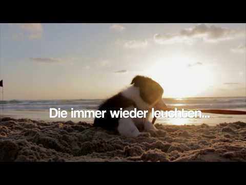 Leo Bruckner - Tausend Sonnen (Lyric Video)