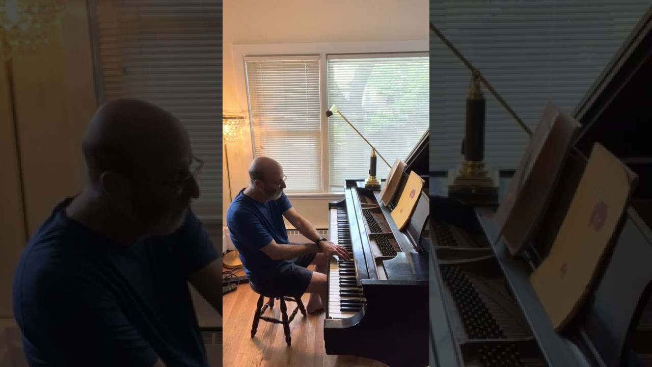 Promotional video thumbnail 5 for Sinfonietta Arts
