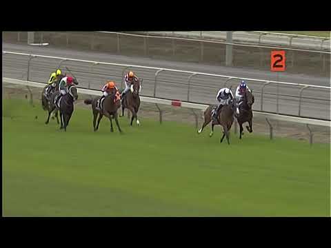 Race Replay: Matatmata Race 4 - 23 February