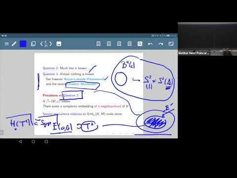 Symplectically knotted cubes - Felix Schlenk