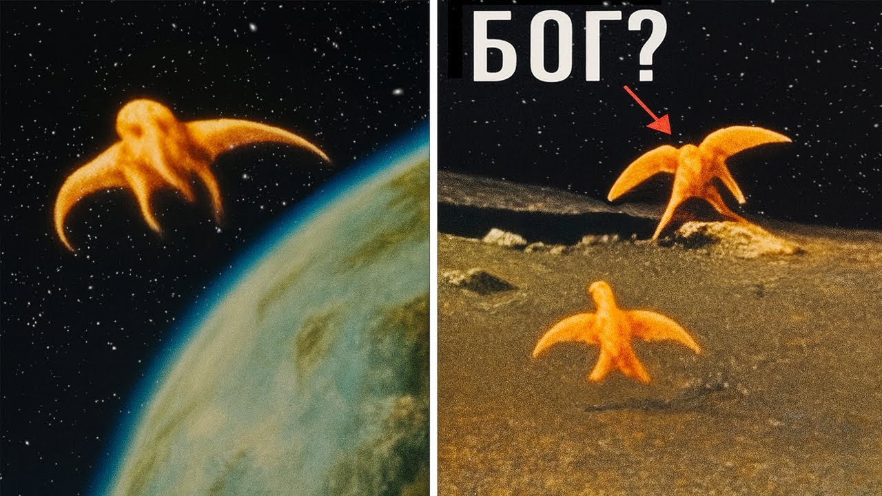 Гелертер ТОЛЬКО ЧТО подтвердил! Телескоп Джеймс Уэбб сделал НЕВОЗМОЖНОЕ