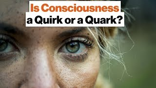 Everything Is Made of Quarks—Why Are Only Some Things Conscious? | Max Tegmark