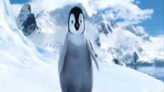 Somewhere In My Memories.. Penguins and Happy Feet