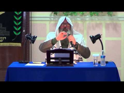 Parashat Ki Tisa por el Roeh Dr. Javier Palacios Celorio - Kehila Gozo y Paz