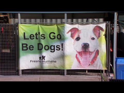 Fresno Humane