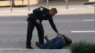 publix downtown st pete fl