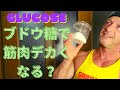 【ブドウ糖は体に良い‼】グミベアで筋肉デカくなる?嘘かホントか確かめて!