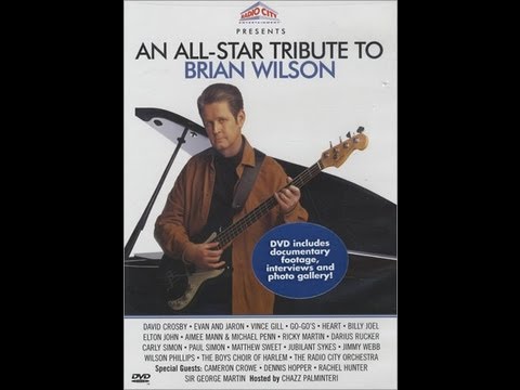 Review of The All Star Tribute to Brian Wilson DVD