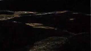 horizon & shadow (neko case outtro with bees)