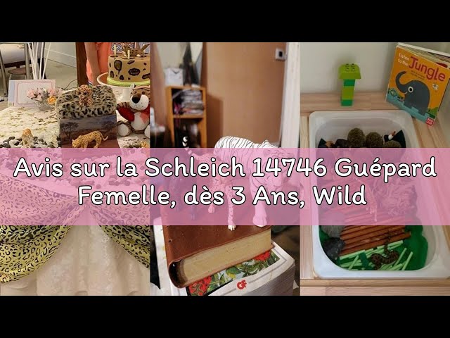 Vídeo relacionado con Schleich 14746 Guepardo Hembra, a Partir de 3 años, Wild Life - Figura, 3 x 10 x 7 cm