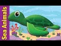 Under The Sea #2 | Marine and Sea Animals Song for Kids | Nursery Rhymes for Kids | Fun Kids English