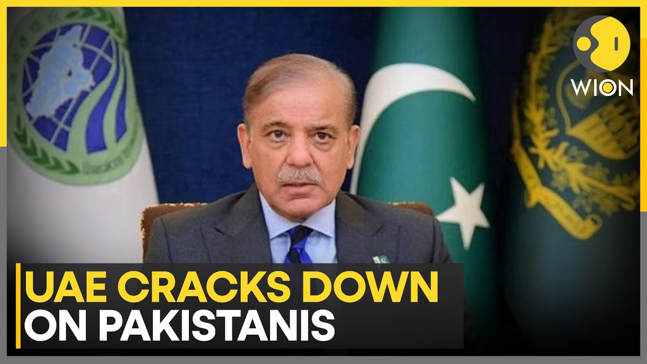 India-UAE Alliance Deepens, Pakistan Locked Out | WION