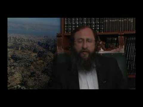 Weekly Torah Portion: Shmini