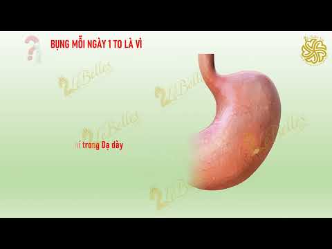 Bụng Bự Tốt Hay Xấu