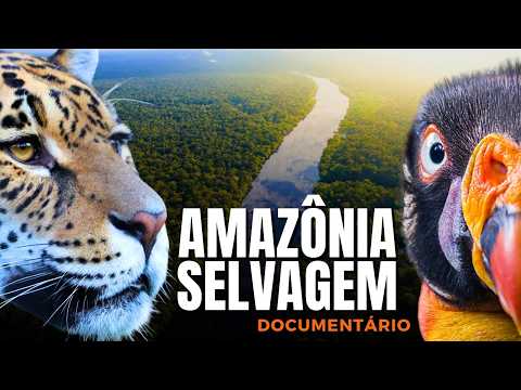 Amazon Rainforest: The Last Wild Sanctuary | Full Documentary (Portuguese)