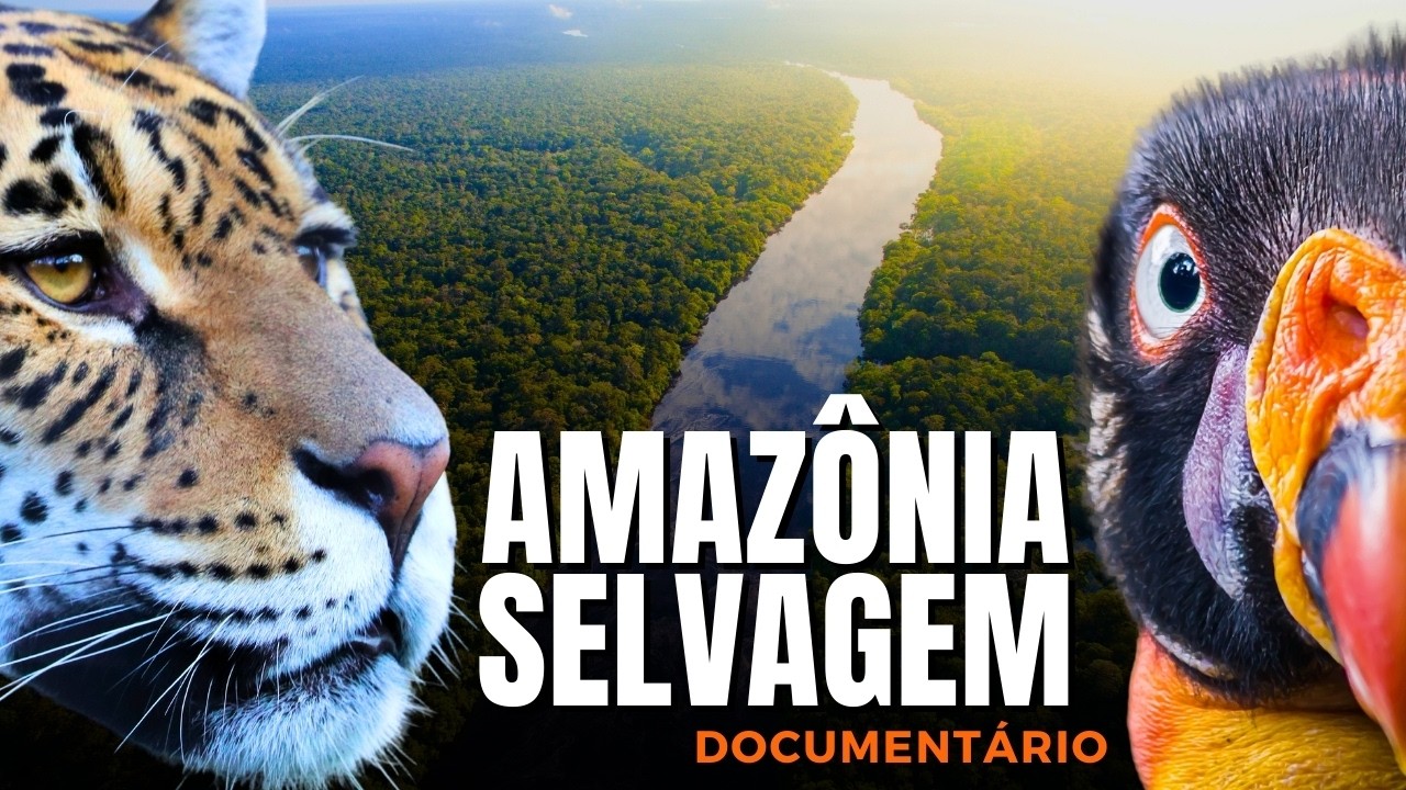 Amazon Rainforest: The Last Wild Sanctuary | Full Documentary (Portuguese)