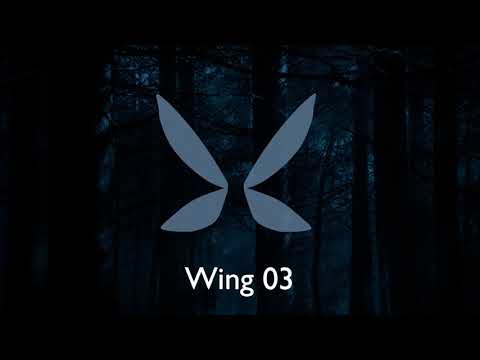 Types of Wings for Navi