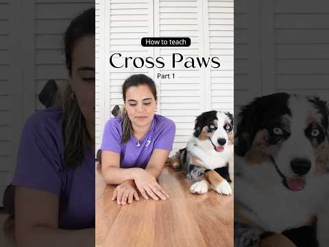 The easiest way to teach your dog to cross paws. Trick tutorial #dogtraining #dogtricks #doglover