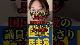 さとうさおりが国民民主党の議員をばっさりぶった斬り話題に