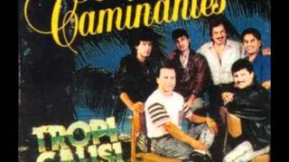 los caminantes todo me gusta de ti