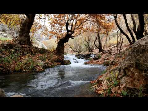 RIVER FLOWS IN YOU 3 HOURS LOOP | BEAUTIFUL RELAXING TUNE | YIRUMA
