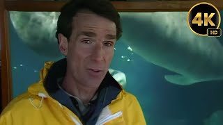 Bill Nye The Science Guy | Marine Mammals