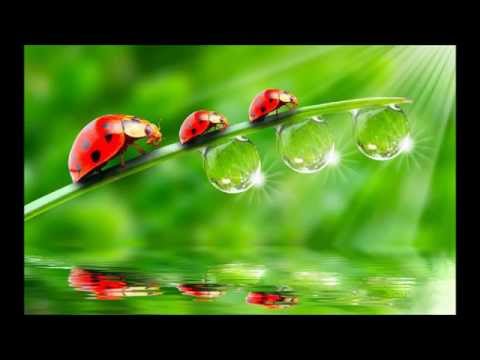 Ace's Delight - Mental Theme (Ace Da Brain's Hell On Earth Mix)