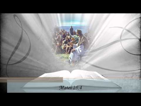 Fratii Sfara - Traim al vremilor sfarsit