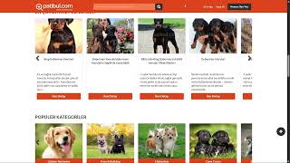Doberman Fiyat - Yavru, Satılık & Sahiplendirme İlanları | patibul.com