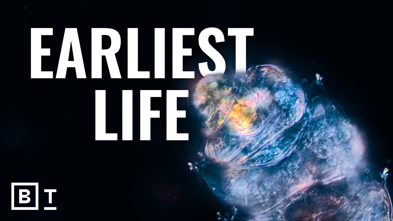 What Earth’s undefeatable organisms reveal about survival