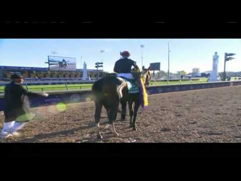 04.11.2011 Churchill Downs Breeders Cup 2011 Friday´s Race Summary