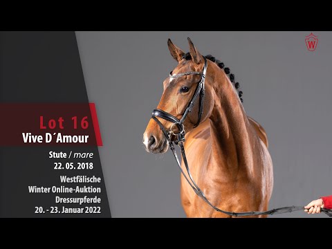 Winter Online-Auktion Lot 16 Vive D´Amour Stute v. Vitalis - Sir Donnerhall I