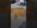 Homepage 1 Video thumbnail