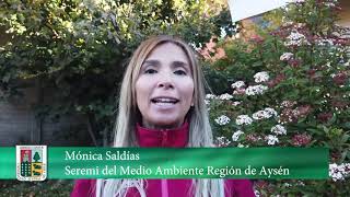 Campaña monitoreo ambiental Pitipalena -Añihue en la Región de Aysén