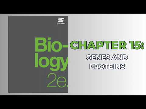 OpenStax Biology 2e (Audiobook) - Chapter 15: Genes and Proteins