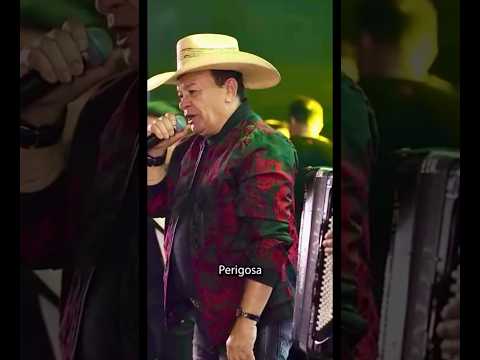 Toca do Vale 👑 CALCINHA DE RENDA AMARELA ⚜️