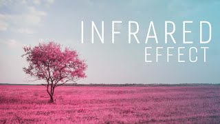 Fake Infrared Effect In Photoshop: A Must-Learn in 2020