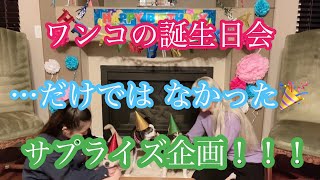 【涙サプライズ】ブラックジャック15歳の生誕祭からのしょうこchan初VR…みんなはどこへ？！