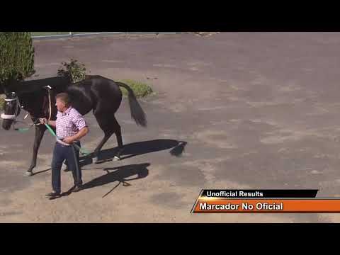 SINT PAYSANDU  28/2/2026 - EN VIVO - URUGUAY