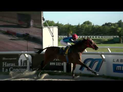 211217 c09 - MAMARRACHO - HIPODROMO LAS PIEDRAS