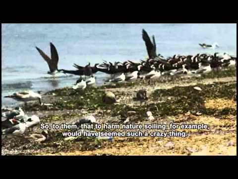 La Reserva Nacional de Paracas te espera