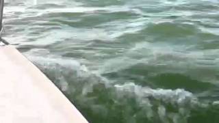 preview picture of video 'Sailing Western Lake Erie-Sitting Leeward'