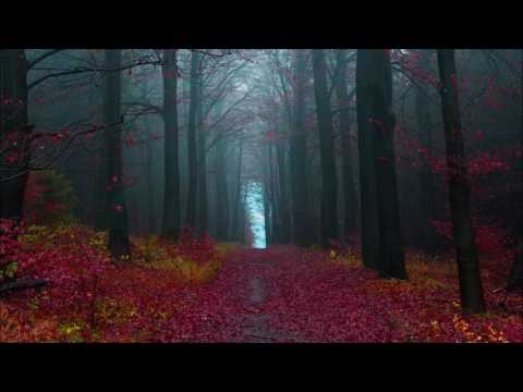 Dub Defense - Material Objects