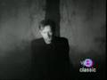 Peter Murphy - All Night Long